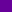 JT Purple - Balboa Park